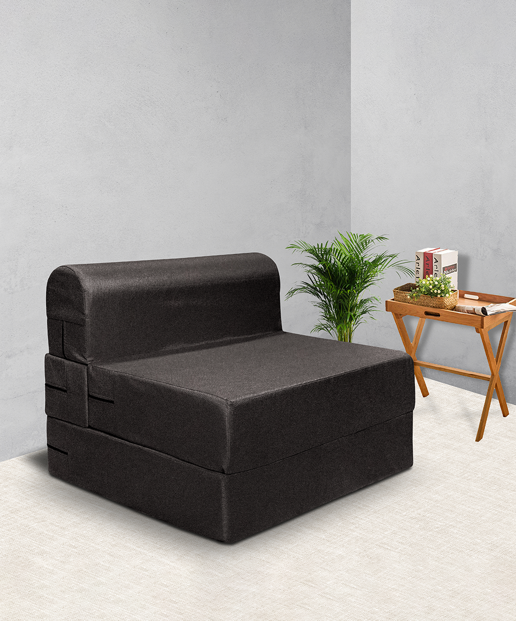 Centaury Sofa cum Bed