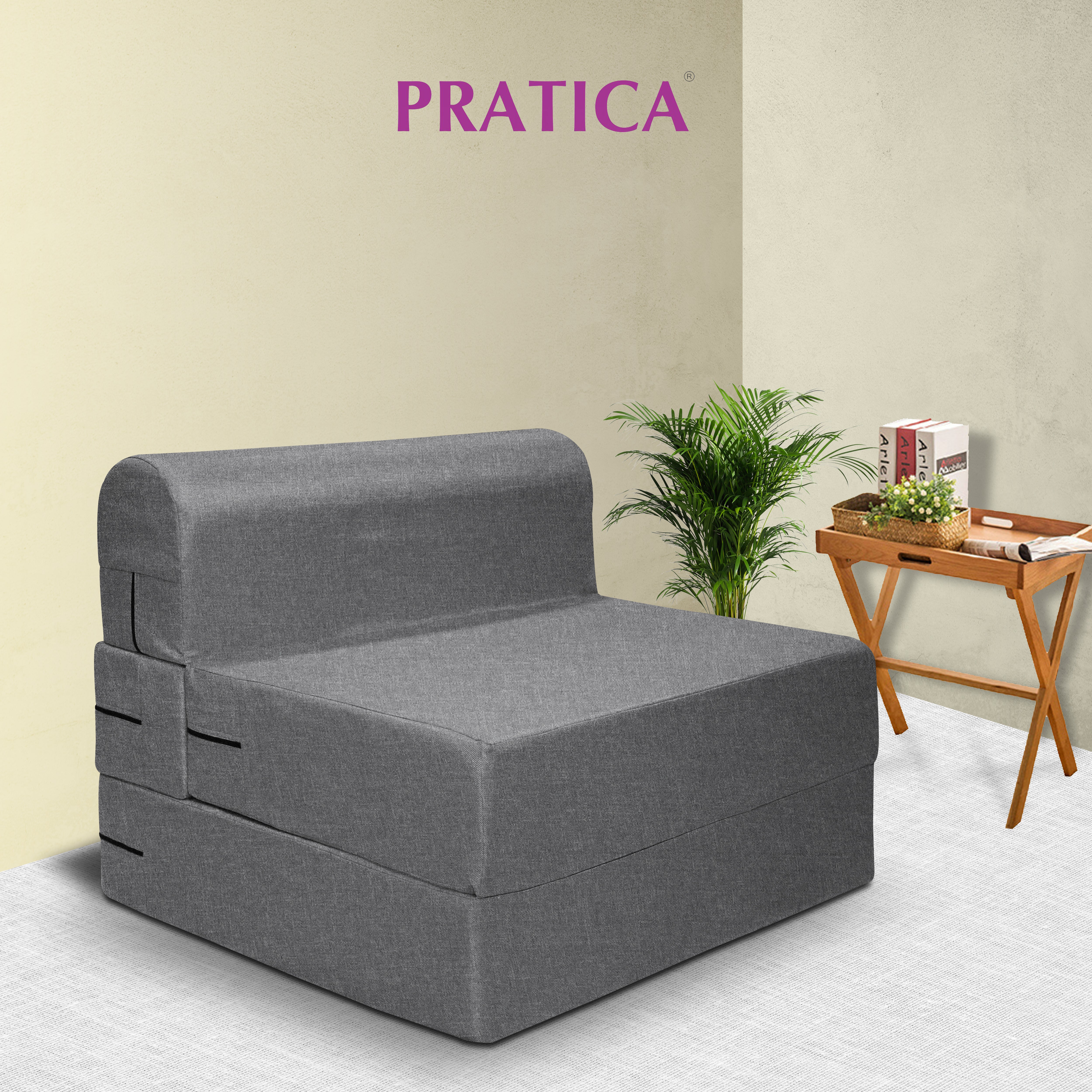 Centaury Sofa cum Bed