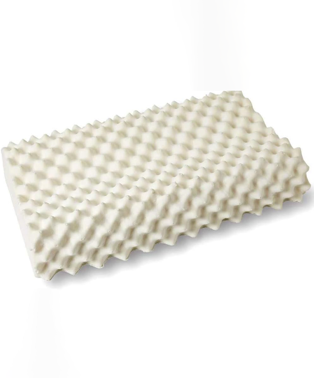 Willow PT3 - Latex Pillow